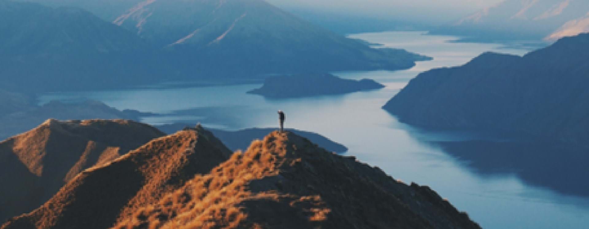 The employment landscape is on a steep tilt!